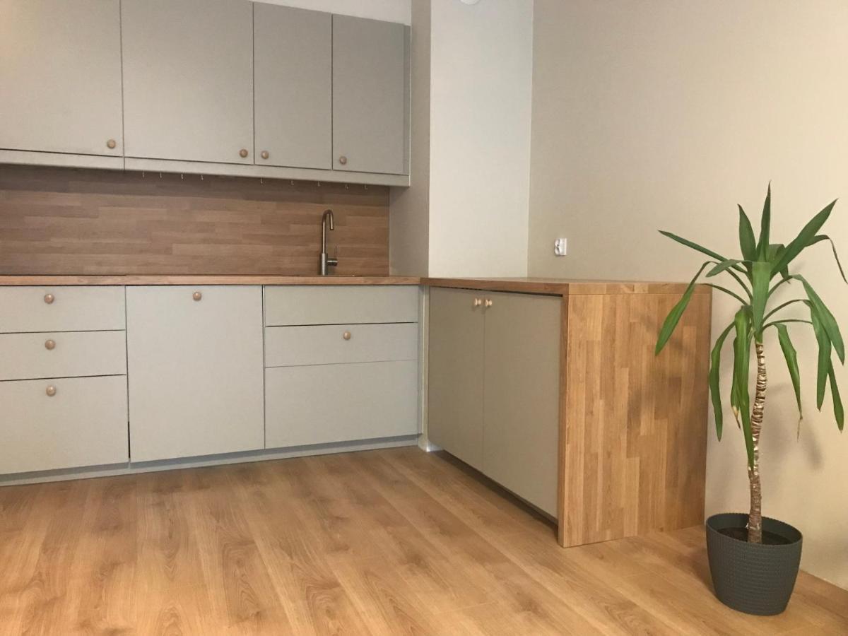 格但斯克Apartament Ag5公寓 外观 照片